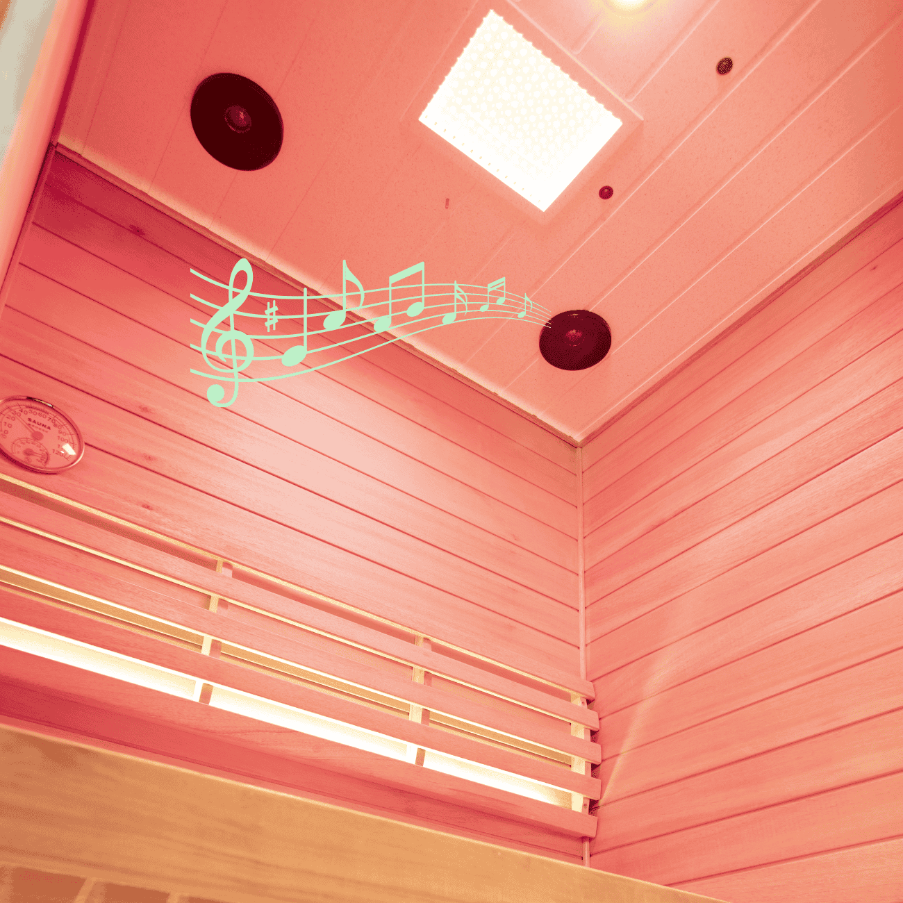 Samsora 701ST indoor steam sauna with built-in Bluetooth music system - premium audio entertainment for enhanced relaxation